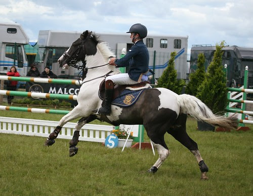 Showjumping