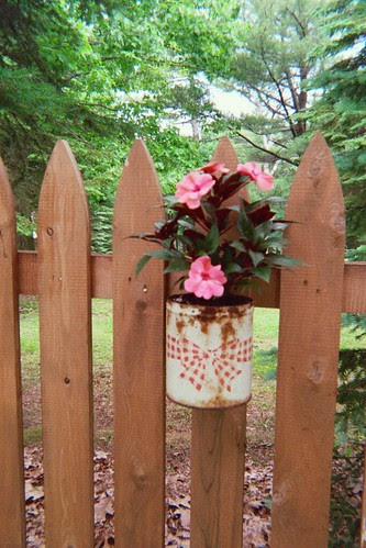 cannedplant