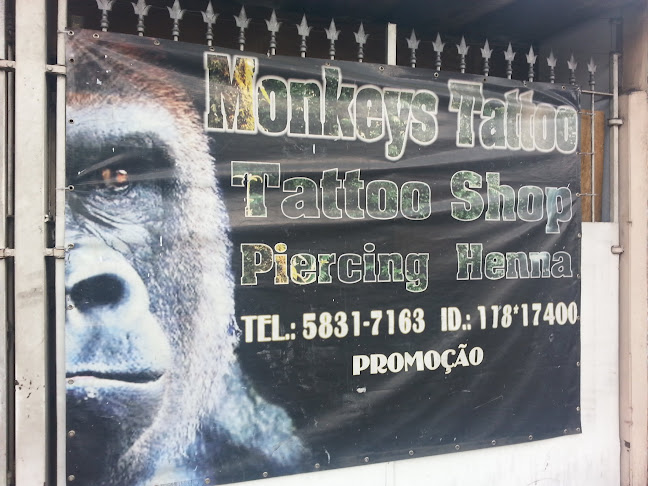 Monkeys Tattoo - Estúdio de tatuagem