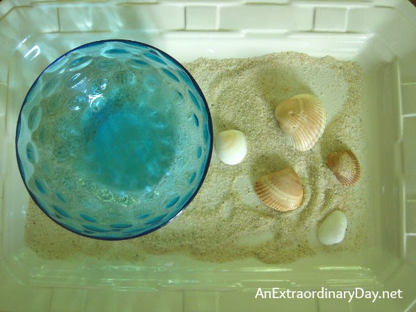 Sand and shells vignette :: AnExtraordinaryDay.net Sand and shells vignette :: AnExtraordinaryDay.net