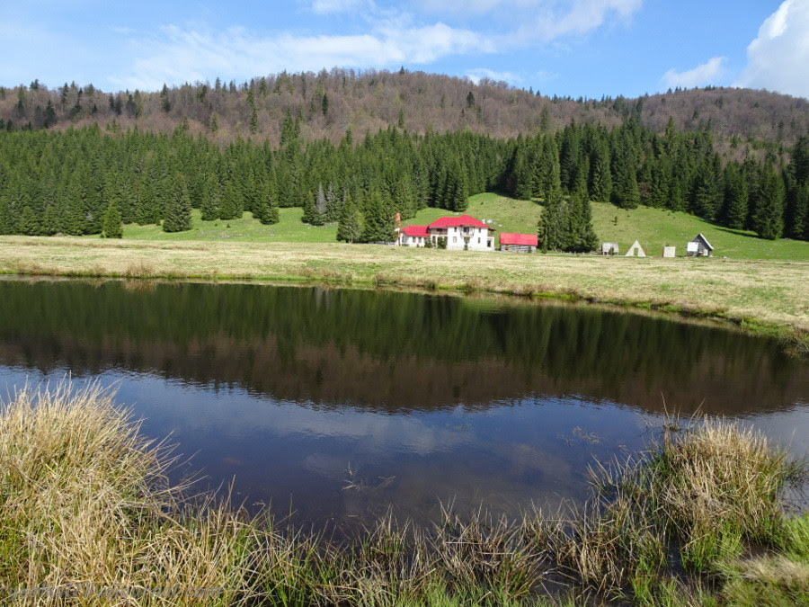 DSC03924-001 DSC03924-001