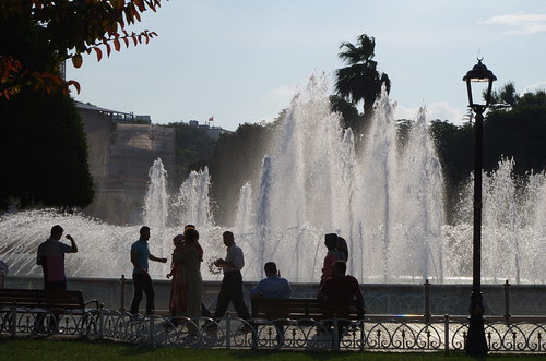 IMGP2003