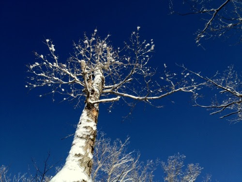 Jay Peak, Vermont