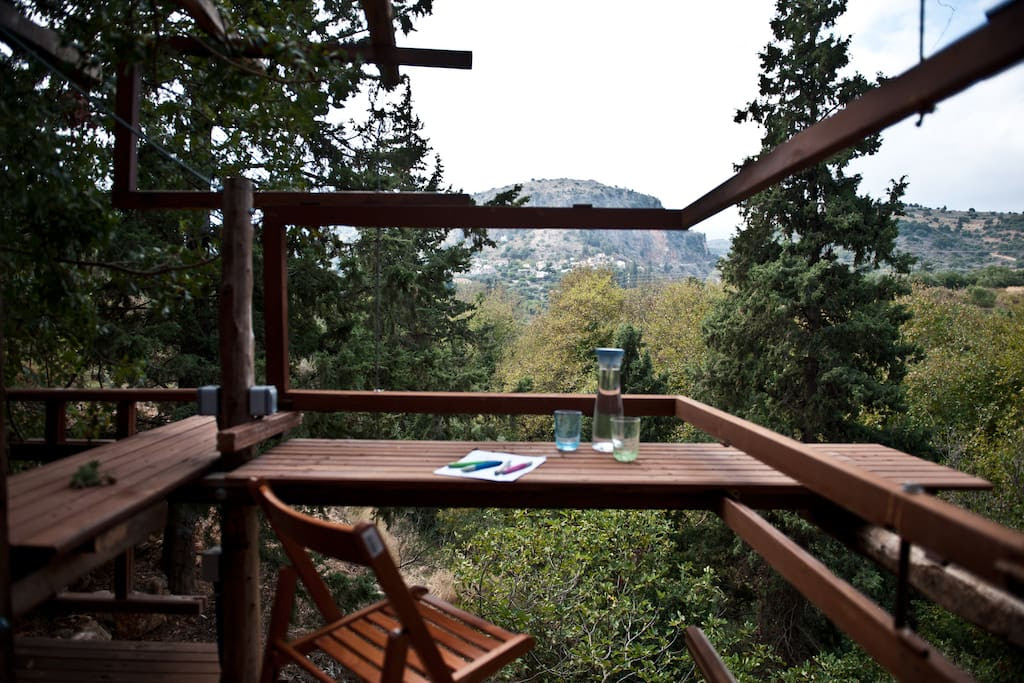 The view from the tree house.