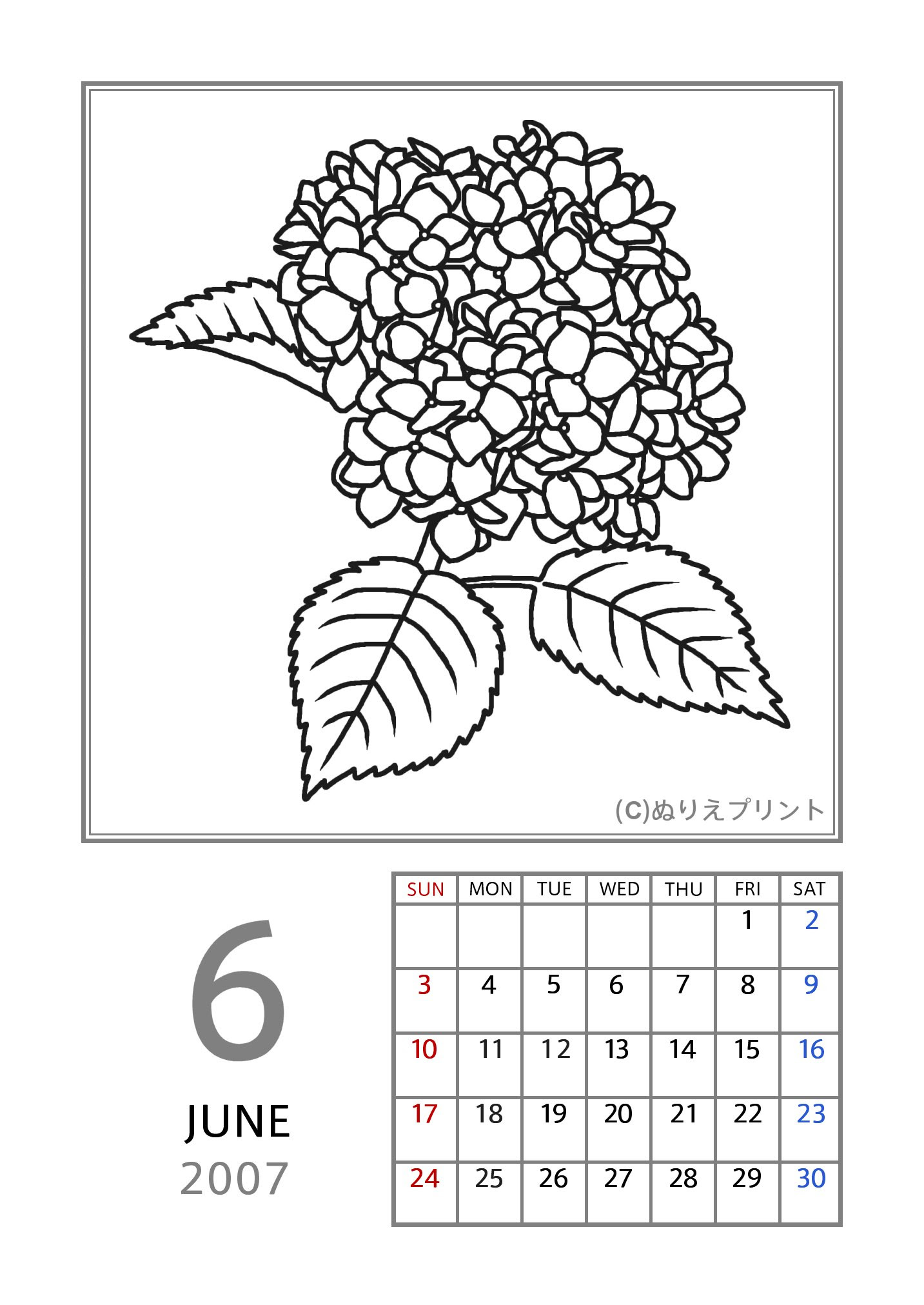 6月 アジサイ 紫陽花 黒 07 平成19年 花のぬりえカレンダー 無料 フリー ぬりえプリント