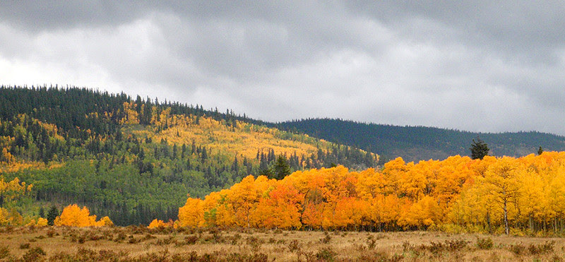 Georgia Pass area, South Park, Colorado Georgia Pass area, South Park, Colorado
