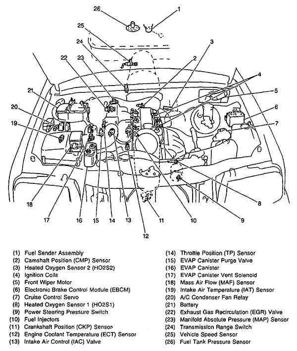 1995 Geo Tracker 16v Fuel Pump Wiring Diagram - Wiring Diagram Schema