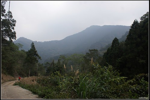 DSC04200