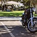 Madrid's Bobber Project