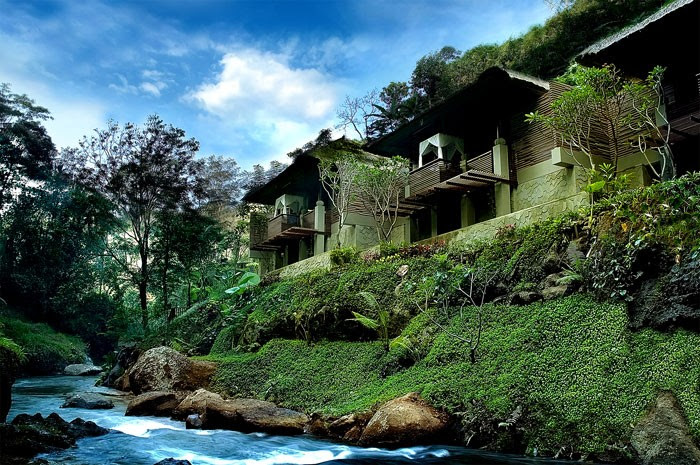 maya ubud river view
