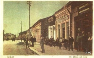 librarii 01061