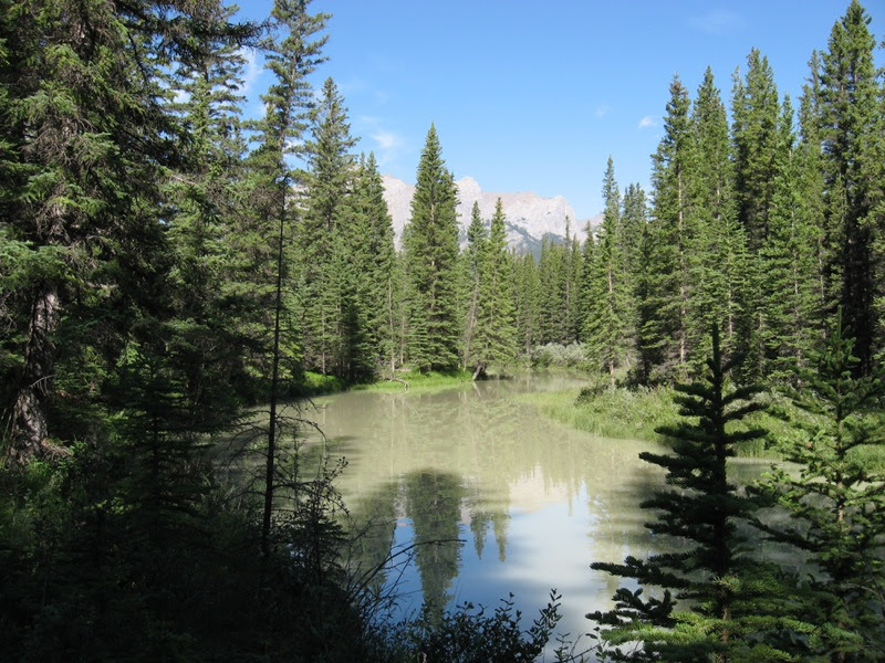 Bow River