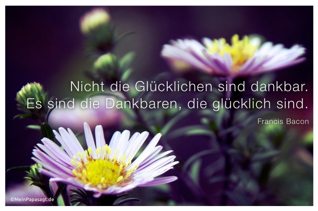 Zitate Dankbarkeit schöne zitate leben