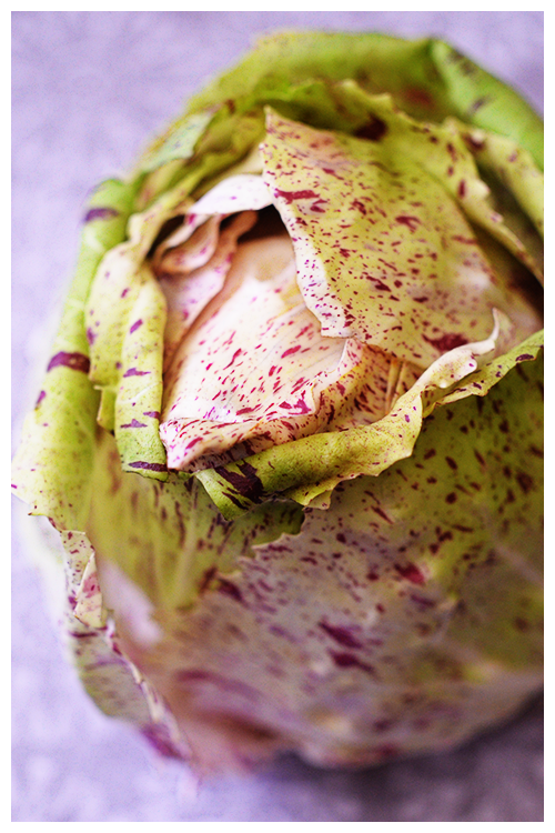 Castelfranco radicchio© by Haalo