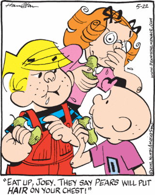 Dennis The Menace Comic Strip Characters
