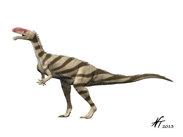 Resultado de imagen de noasaurus