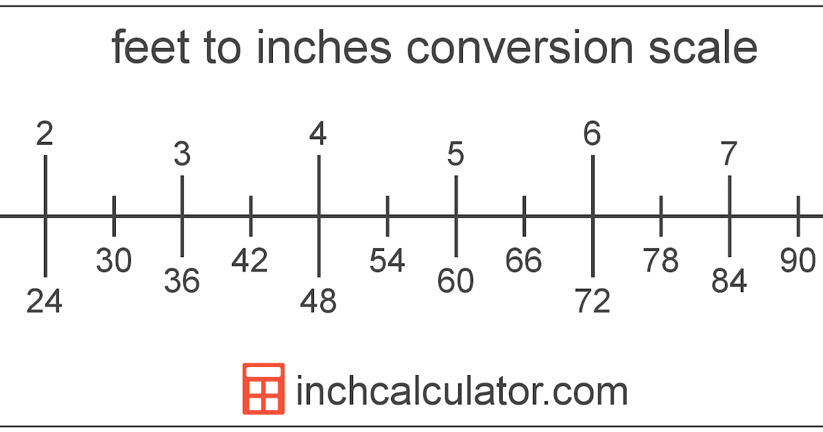 170 Cm To Feet And Inches 170 cm in feet as a decimal there are 0.032808398...