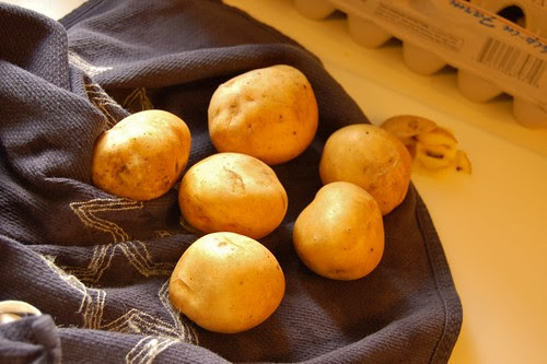 Potatoes, Chillin'.