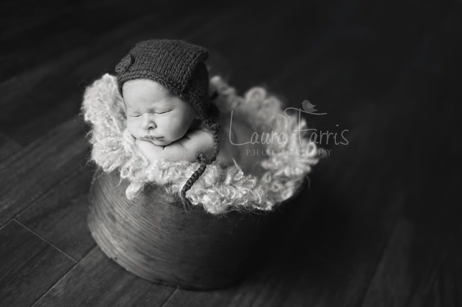 idaho newborn photographers