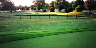 Public Golf Course «Chandler Park Golf Course», reviews and photos, 12801 Chandler Park Dr, Detroit, MI 48213, USA