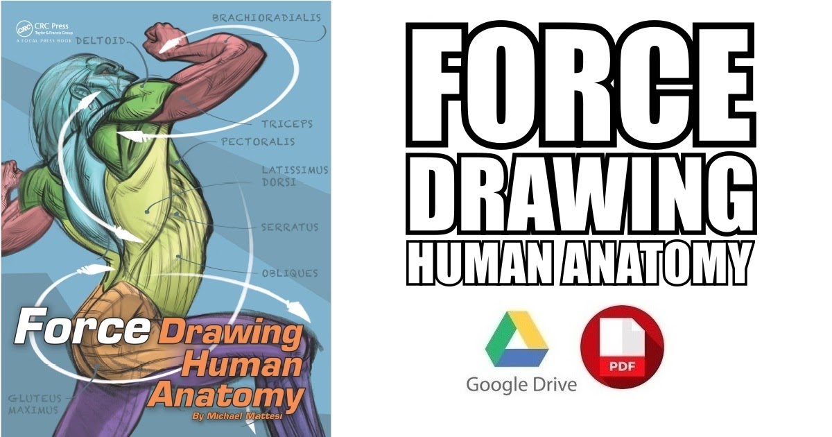 force drawing human anatomy michael mattesi