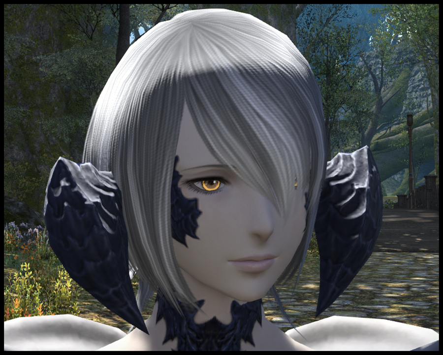 Ff14 アウラ 女 髪型