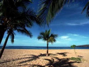 beach