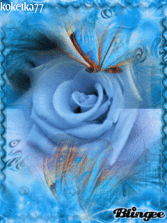 Голубая  роза