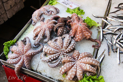 Octopus chilling on ice at Venice's Rialto Fish Market Octopus, Rialto Fish Market, Venice, Italy