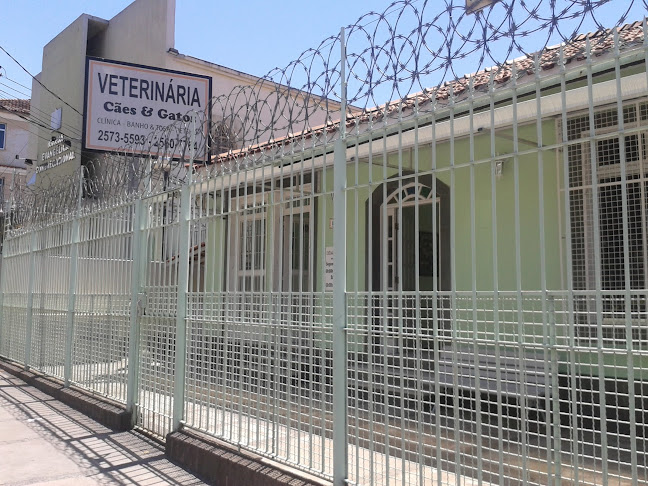 Avaliações sobre Veterinária Cães&Gatos em Rio de Janeiro - Veterinário