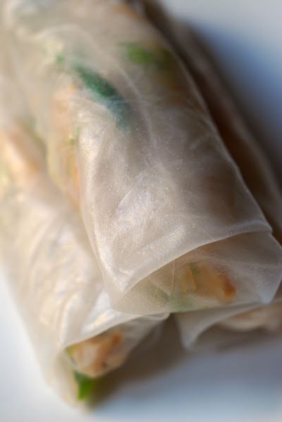rice paper rolls