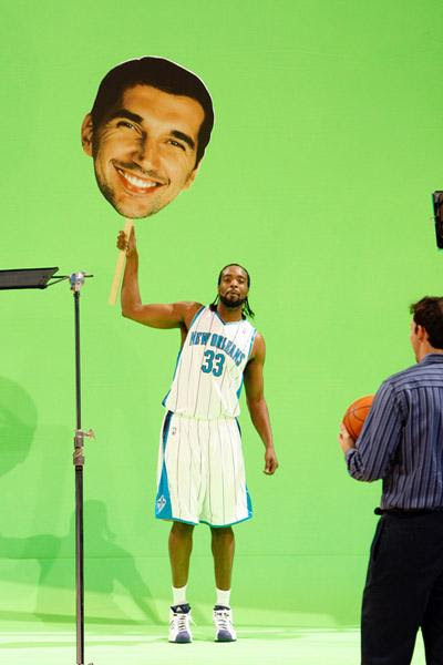 hornets