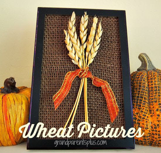 Wheat Pictures grandparentsplus.com