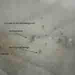 bed bug feces picture picture of bed bug feces on mattress with casting shells and fecal matter