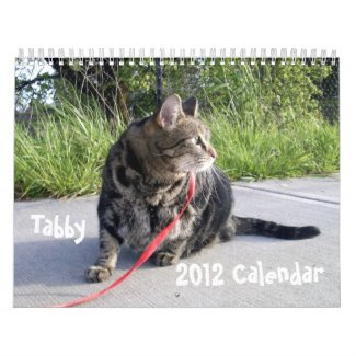Tabby Cat 2012 Calendar calendar
