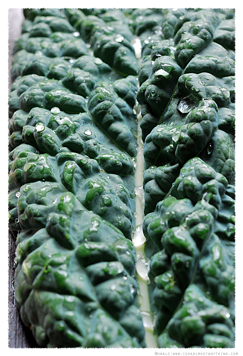 cavolo nero© by Haalo