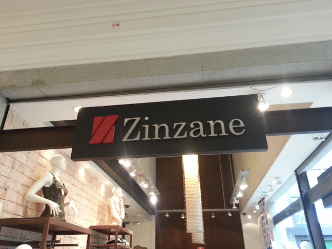 zinzane.com.br