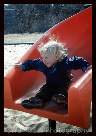 Snapseed photos, Edgartown News, phone photos,