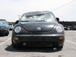 Beetle