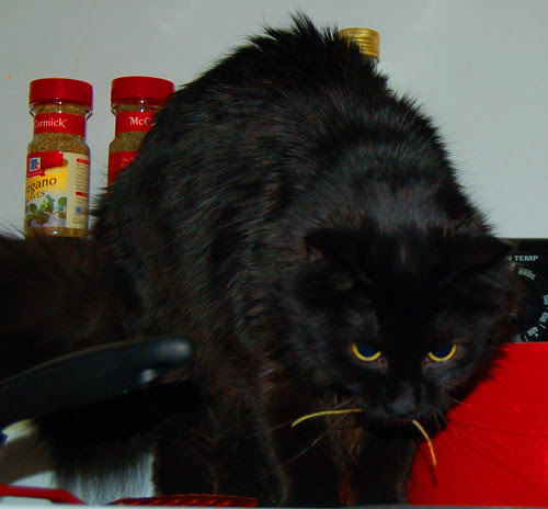 Noodle moustache