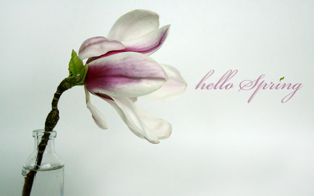 Hello Spring! 1680x1050