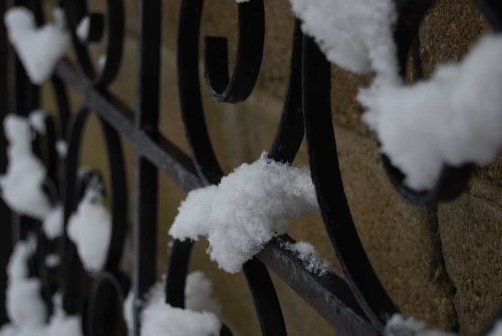 Snow on the Gate