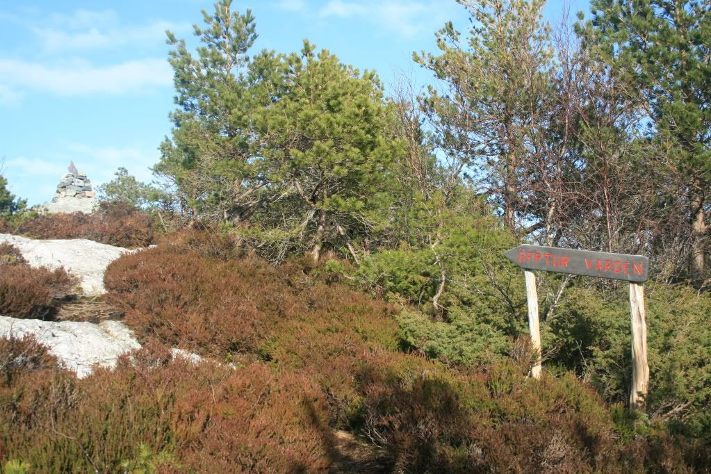 På veg opp til Brandsøyåsen
