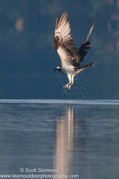Photo & Video Sharing by SmugMug Photo & Video Sharing by SmugMug
