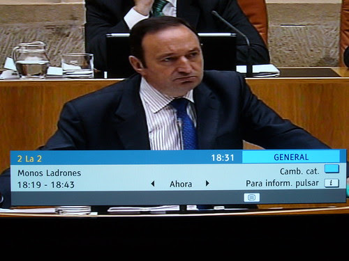Monos Ladrones