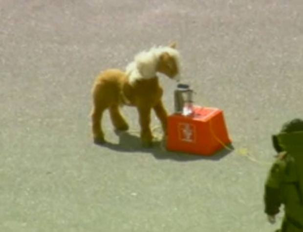 Em setembro de 2010, a polícia explodiu um pônei de brinquedo, considerado um 'objeto suspeito', depois de ele ter sido encontrado em uma praça do lado de fora de uma escola de Orlando, no estado americano da Flórida. (Foto: Reprodução) Em setembro de 2010, a polícia explodiu um pônei de brinquedo, considerado um 'objeto suspeito', depois de ele ter sido encontrado em uma praça do lado de fora de uma escola de Orlando, no estado americano da Flórida. (Foto: Reprodução)