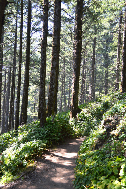 Hiking to Cape Falcon