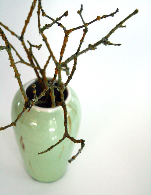 my new vase wiht branches
