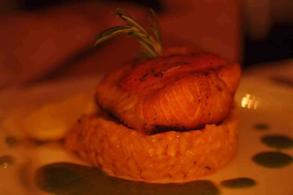 salmon
