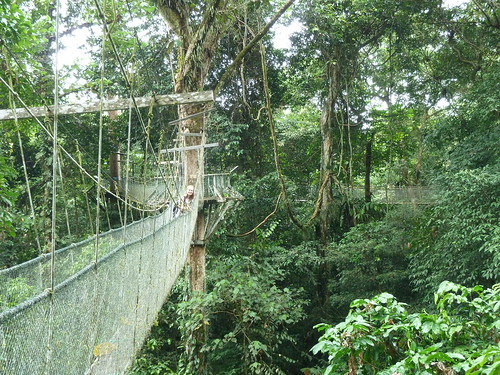 Gunung Mulu